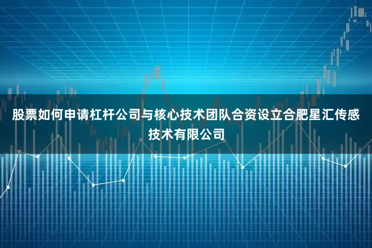 股票如何申请杠杆公司与核心技术团队合资设立合肥星汇传感技术有限公司