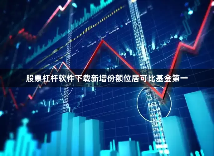 股票杠杆软件下载新增份额位居可比基金第一